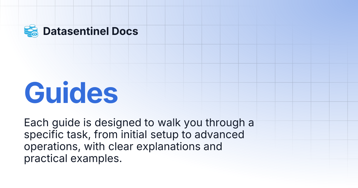 Guides | Datasentinel Docs