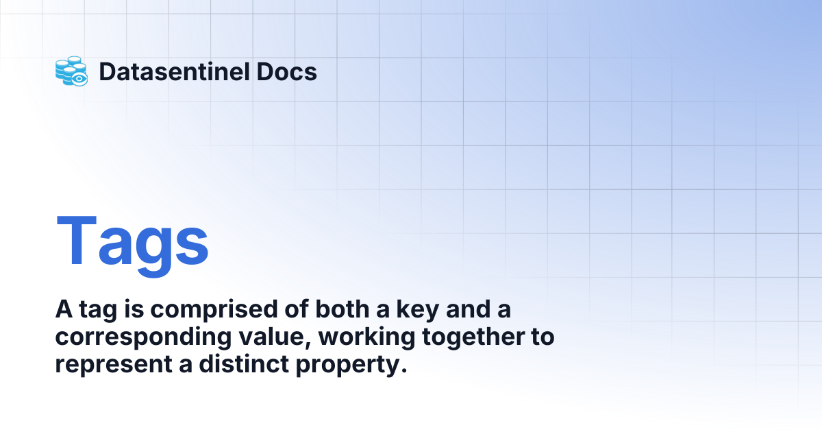 Tags | Datasentinel Docs
