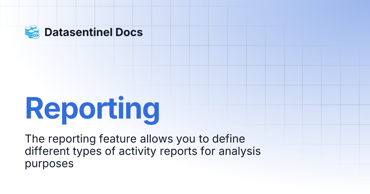 Reporting | Datasentinel Docs